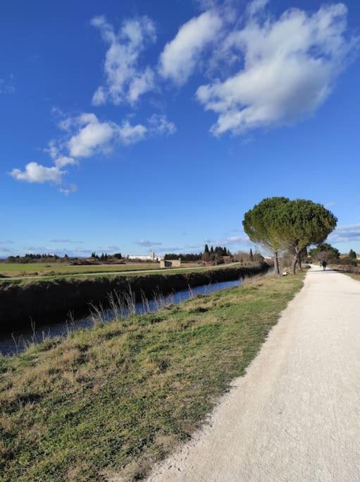 Appartement A 10Km De La Grande Motte, Palavas... لونيه المظهر الخارجي الصورة